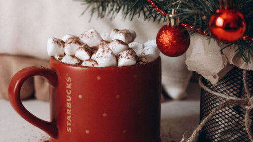 Mug, Marshmallow, Tree Wallpapers Free Download