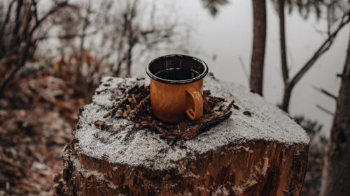 Mug, Tree, Stump, Snow Wallpapers Free Download