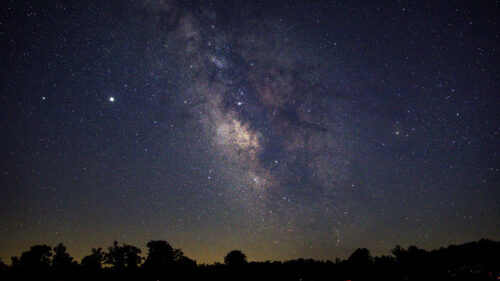 Nebula, Stars, Trees Wallpapers Free Download