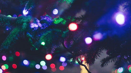 New, Year, Tree, Garland Wallpapers Free Download