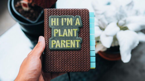 Notepad, Inscription, Plant Wallpapers Free Download