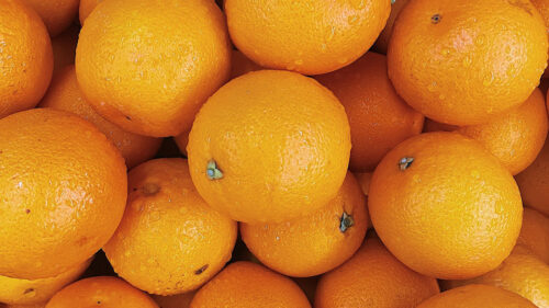 Oranges, Fruits, Citrus HD Wallpapers Free Download