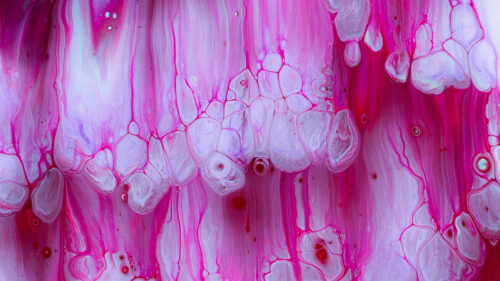 Paint, Fluid, Art, Stains Wallpapers Free Download (2)