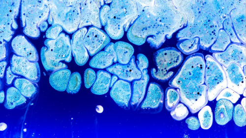 Paint, Liquid, Stains, Wallpapers Free Download