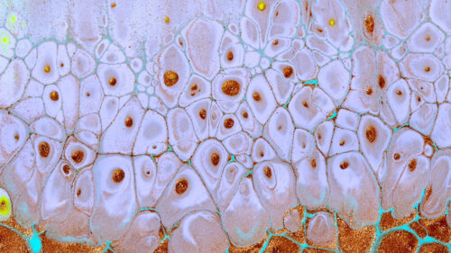 Paint, Stains, Glitters, Wallpapers Free Download