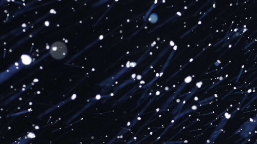 Particles, Snow, Motion Wallpapers Free Download