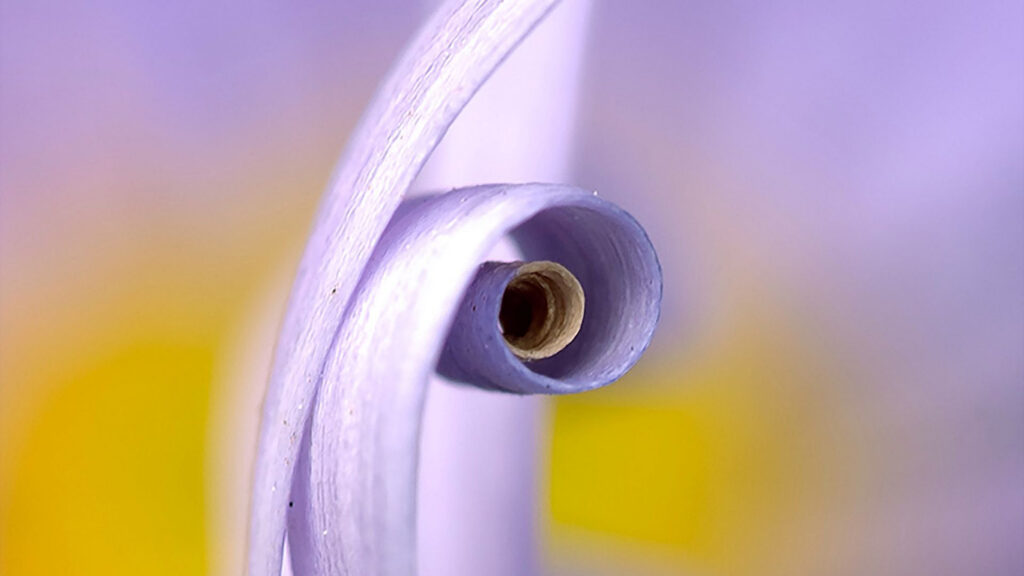 Previous