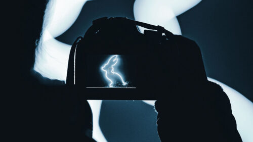 Photographer, Camera, Rabbit Wallpapers Free Download