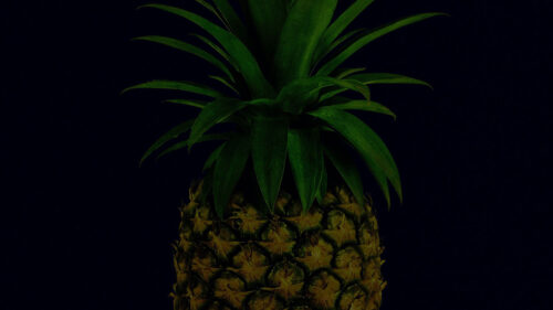 Pineapple, Fruit, Leaves, Wallpapers Free Download