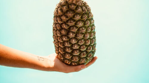Pineapple, Hand, Fruit, Wallpapers Free Download