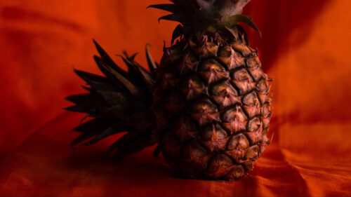 Pineapples, Fruit, Brown, Wallpapers Free Download
