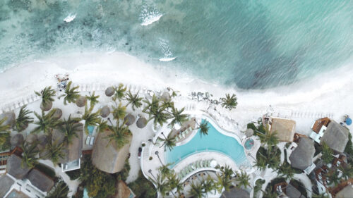 Pool, Coast, Palm, Trees, HD Wallpapers Free Download