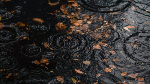 Puddle, Rain, Drops HD Wallpapers Free Download