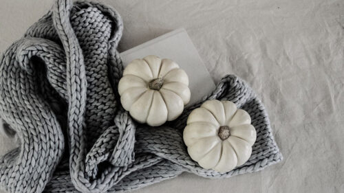 Pumpkin, Book, Fabric HD Wallpapers Free Download