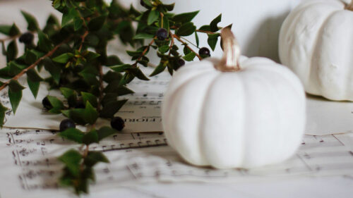 Pumpkin, Flowers, Branch HD Wallpapers Free Download