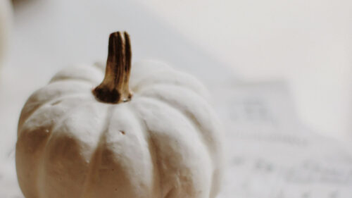 Pumpkin, Leaf, Notes, HD Wallpapers Free Download