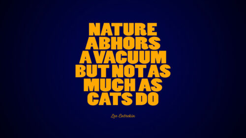 Quote, Saying Phrase, HD Wallpapers Free Download