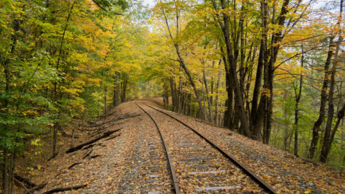 Railroad, Tails, Trees HD Wallpapers Free Download