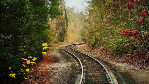 Rails, Railway, Trees, HD Wallpapers Free Download
