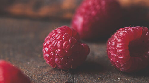 Raspberry, Berry, Fruit HD Wallpapers Free Download