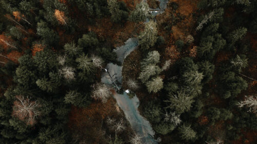 River, Forest, Aerial, View HD Wallpapers Free Download (2)