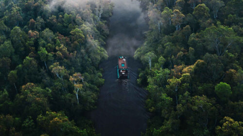 River, Forest, Boat, HD Wallpapers Free Download