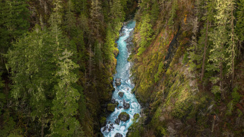 River, Forest, Gorge HD Wallpapers Free Download