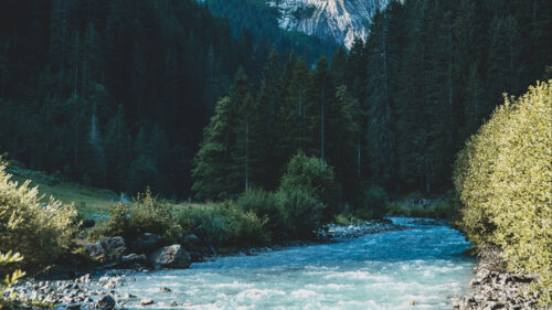 River, Mountain, Trees, HD Wallpapers Free Download (2)