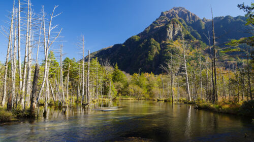 River, Mountain, Trees, HD Wallpapers Free Download