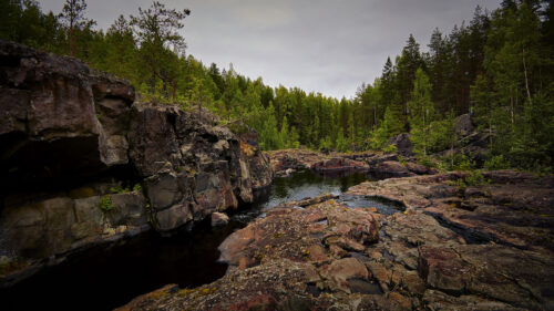 River, Rocks, Forest HD Wallpapers Free Download