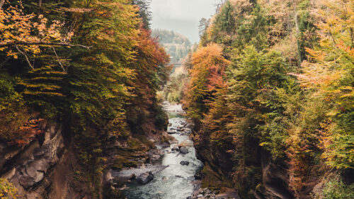 River, Rocks, Stream HD Wallpapers Free Download