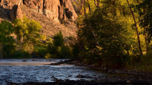 River, Rocks, Trees HD Wallpapers Free Download (2)