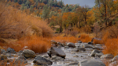 River, Stones, Trees HD Wallpapers Free Download