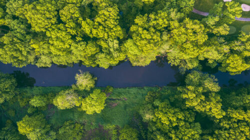 River, Trees, Aerial, View HD Wallpapers Free Download