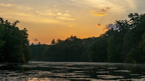 River, Trees, Bushes HD Wallpapers Free Download