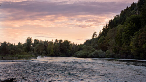 River, Trees, Shore HD Wallpapers Free Download