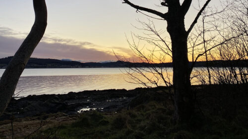 River, Trees Shore, HD Wallpapers Free Download