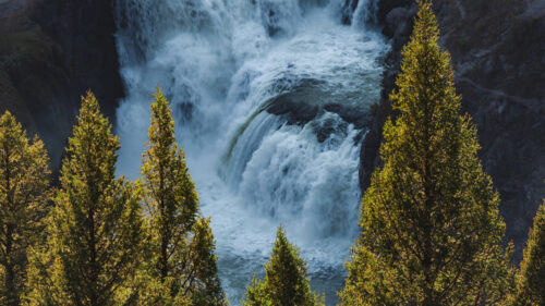 River, Waterfall, Trees, HD Wallpapers Free Download