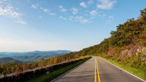 Road, Asphalt, Nature HD Wallpapers Free Download