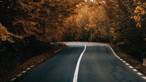 Road, Asphalt, Turn HD Wallpapers Free Download