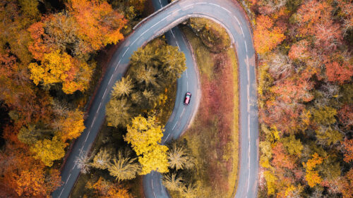Road, Car, Aerial, View HD Wallpapers Free Download