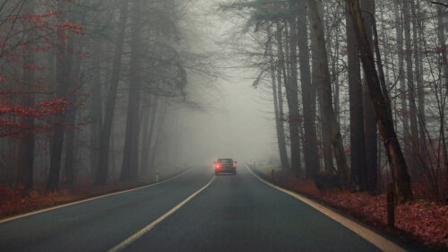 Road, Car, Fog HD Wallpapers Free Download