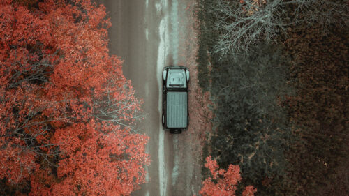 Road, Car, Trees HD Wallpapers Free Download