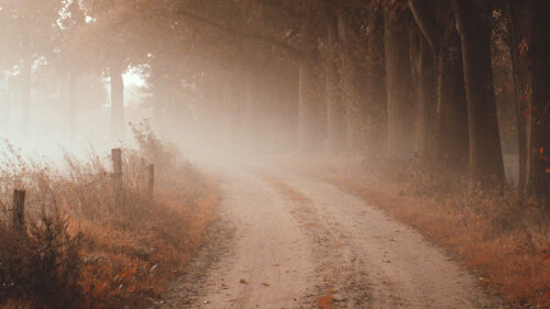 Road, Fog, Autumn HD Wallpapers Free Download
