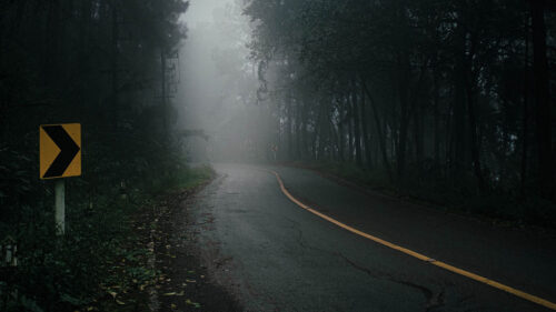 Road, Fog, Trees, HD Wallpapers Free Download