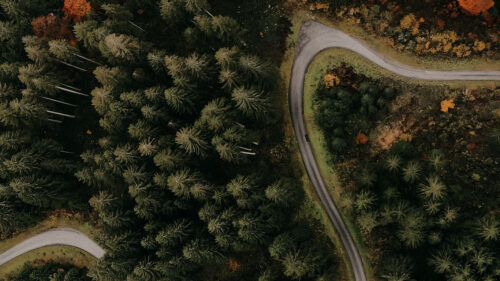 Road, Forest, Aerial, View, HD Wallpapers Free Download (2)