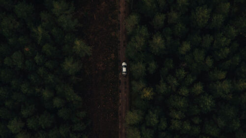 Road, Forest, Car HD Wallpapers Free Download