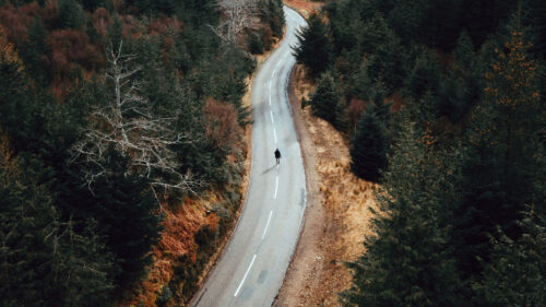Road, Man, Alone HD Wallpapers Free Download