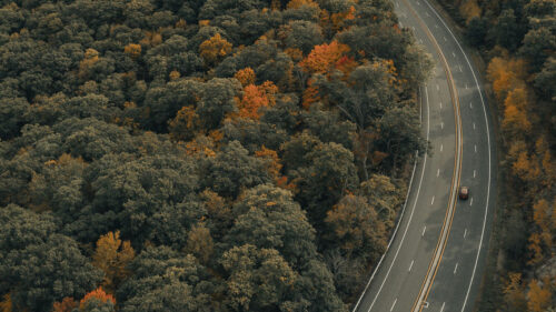 Road, Trees, Autumn HD Wallpapers Free Download