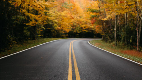 Road, Trees, Marking, HD Wallpapers Free Download